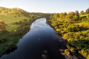 Northern Rivers Buy Back Scheme